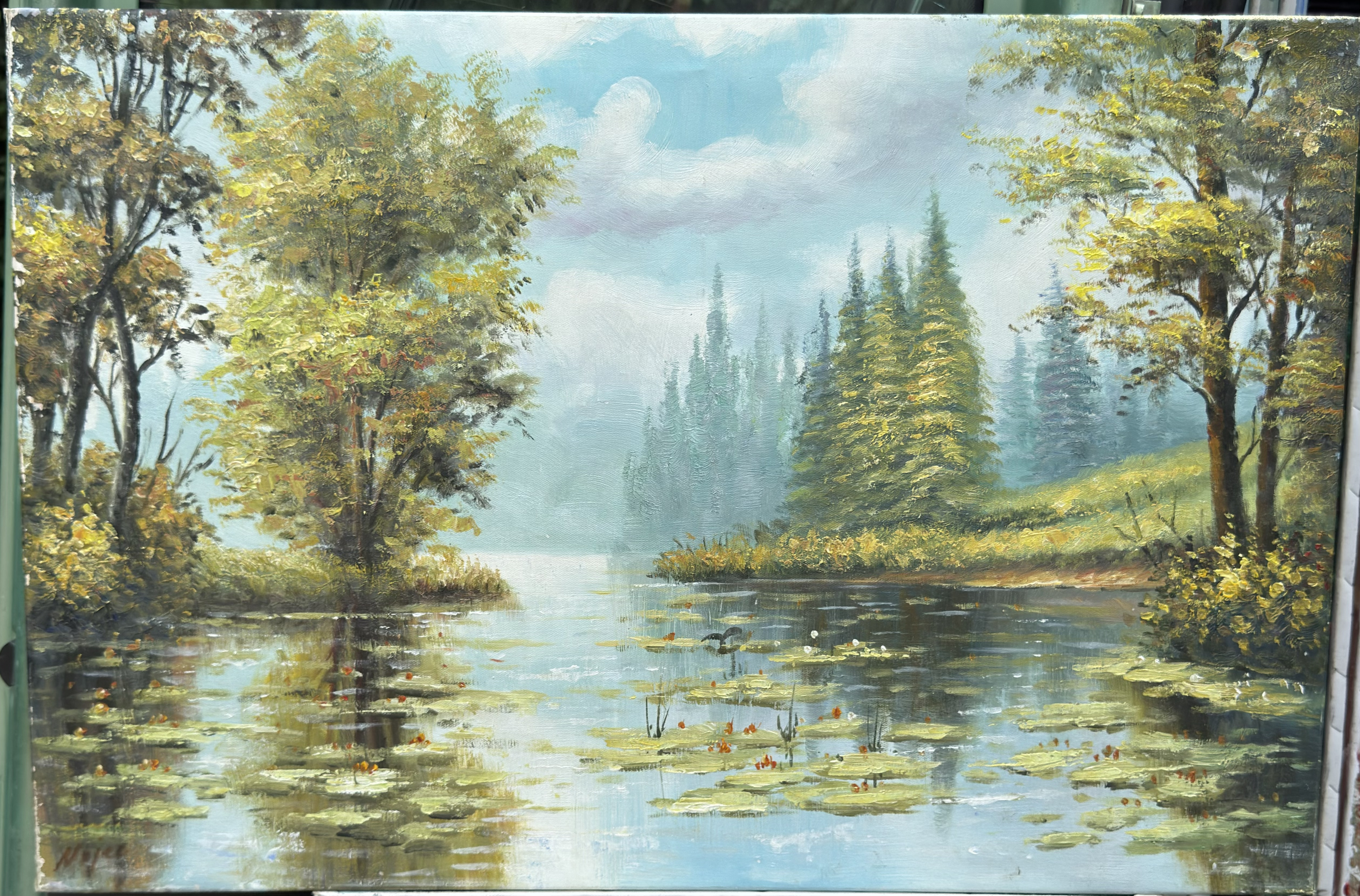 Jezioro z nenufarami